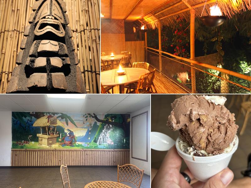 The Jungle ReTreat Ice Cream