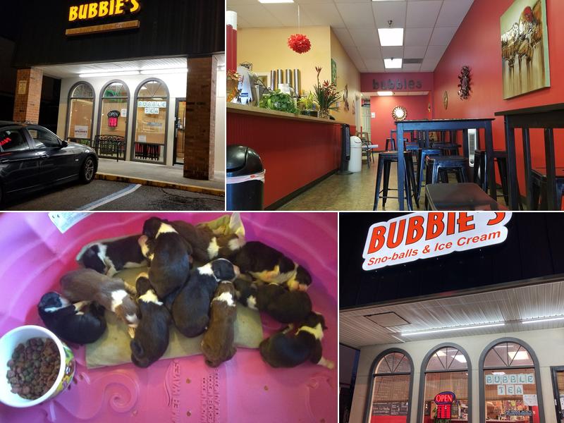 Bubbie's Snoballs & Ice Cream