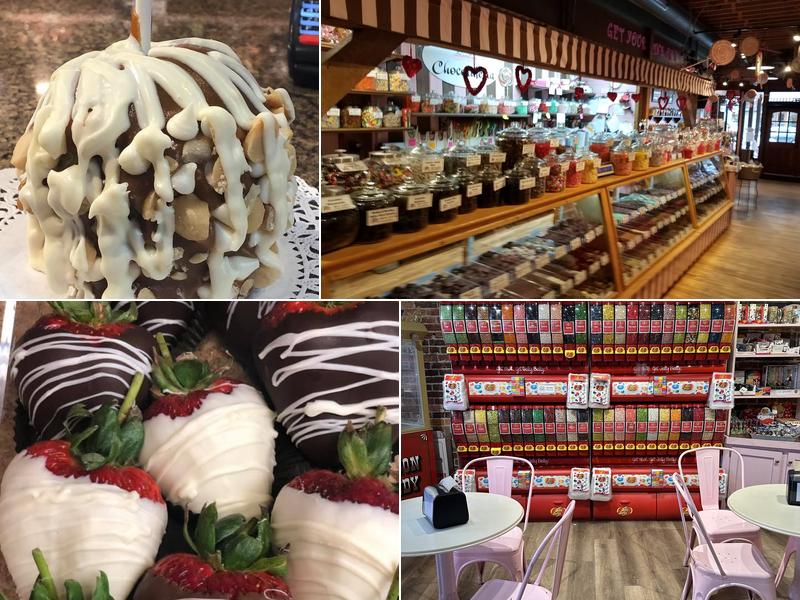 Lazy Dog Chocolateria