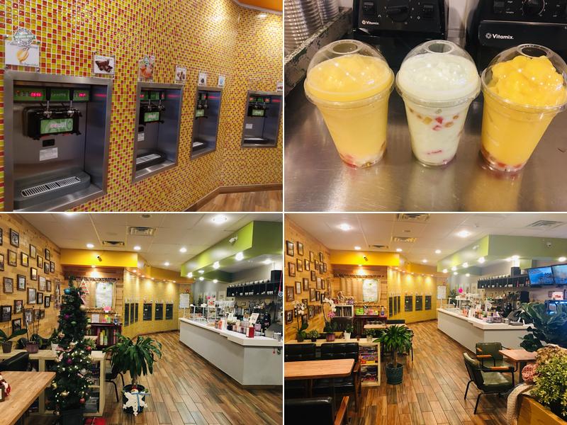 Cocomero Frozen Yogurt / Bubble Tea / Smoothie