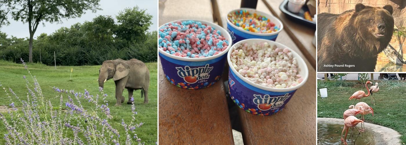 Plains' Dippin' Dots