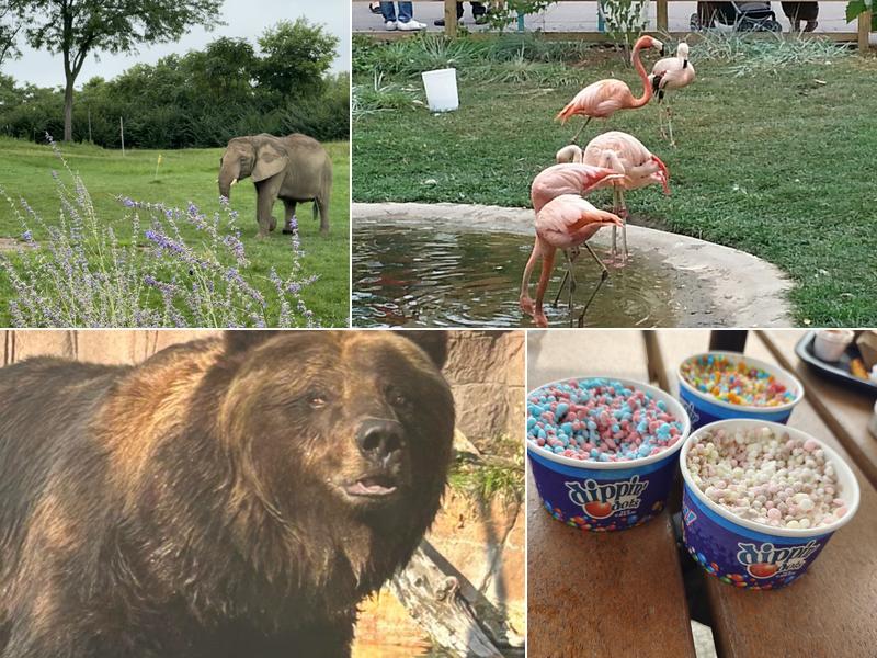 Plains' Dippin' Dots