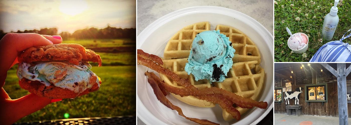 Flayvors of Cook Farm