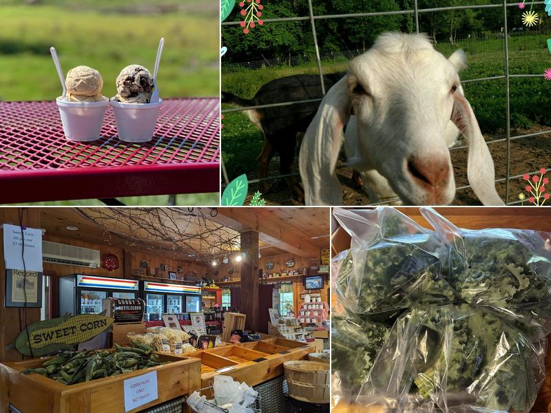 Rota Spring Ice Cream