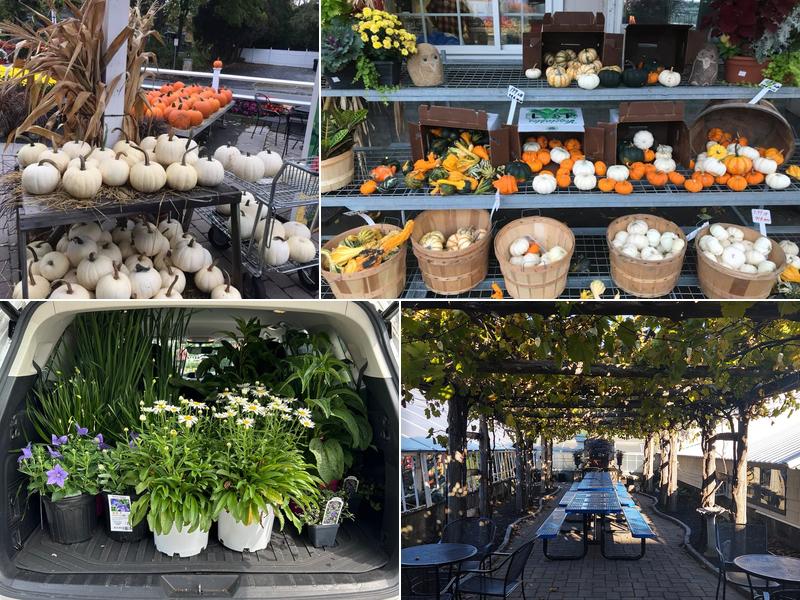 Trombetta's Farm 655 Farm Rd #2763, Marlborough