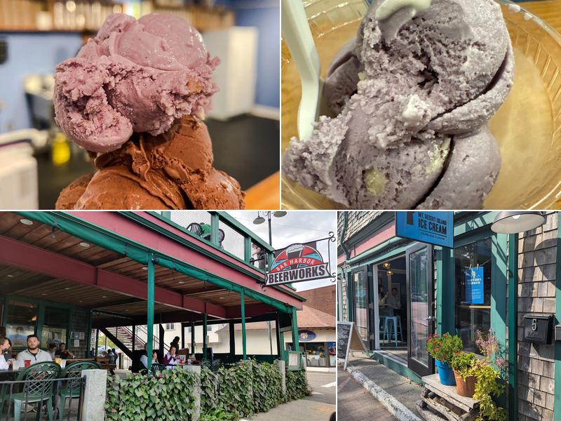 Mount Desert Island Ice Cream