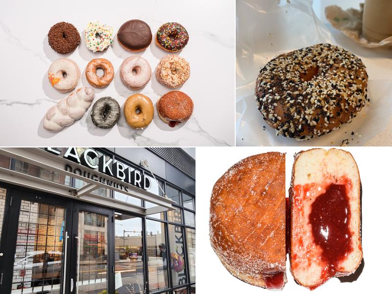 Blackbird Doughnuts Fenway