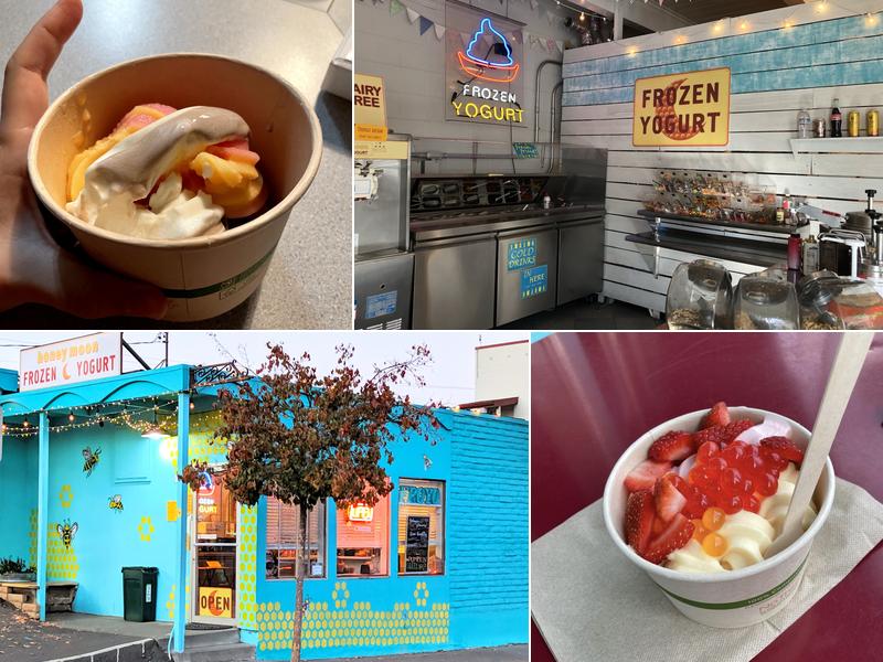 Honeymoon Frozen Yogurt 7108 Bodega Ave, Sebastopol