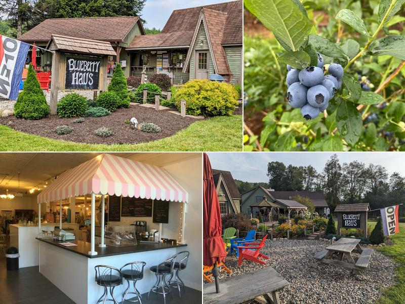 Blueberry Haus 809 Guilford Center Rd, Guilford