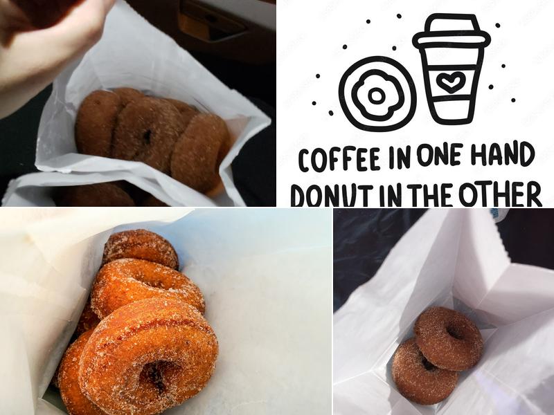 Petey's Donuts 8283 Cement City Rd, Brooklyn