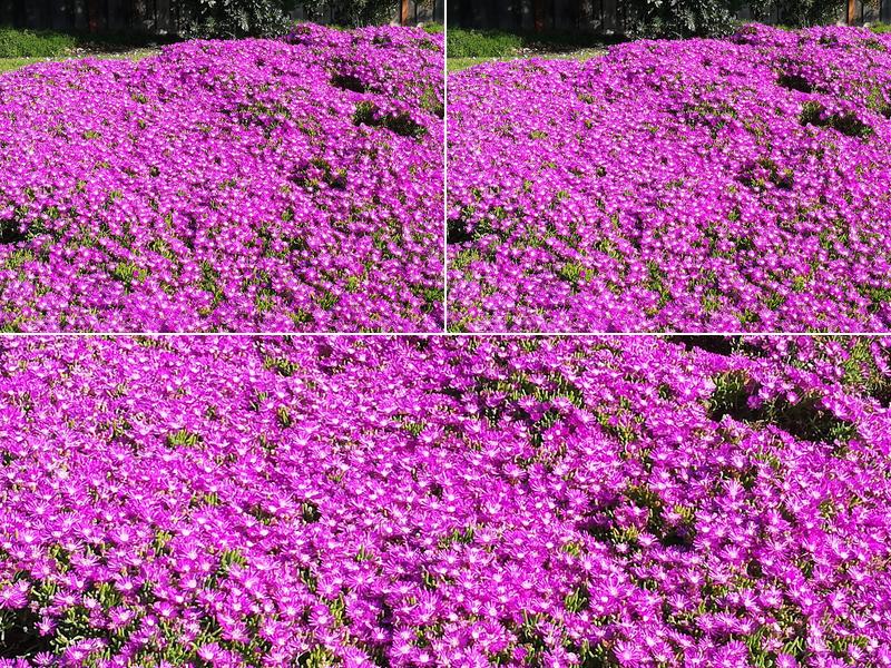 Custom Cakes By Maxine