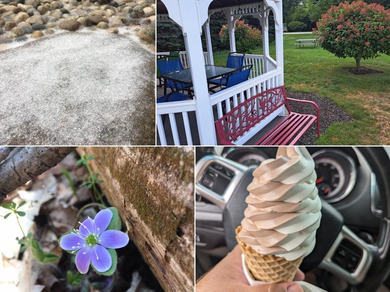 Fantasy Twirl 3191 142nd Ave, Dorr