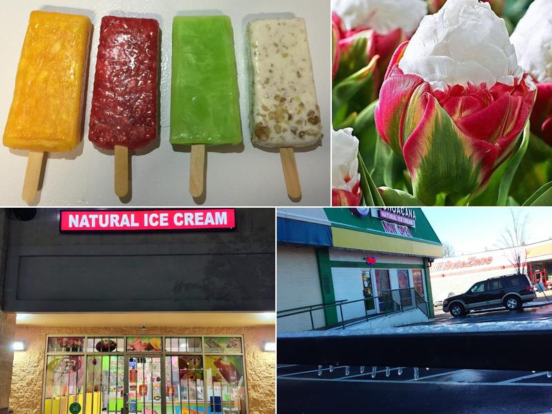 Paleteria MICH TOCUMBO Natural Ice cream