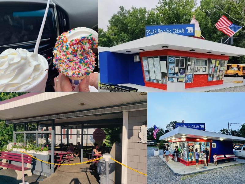 Polar Bear Ice Cream