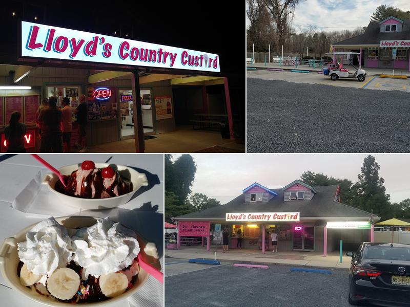 Lloyd's Country Custard