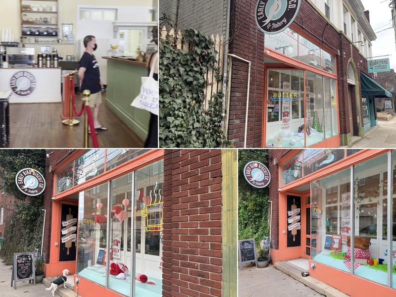 Early Bird Biscuit Co. The Fan