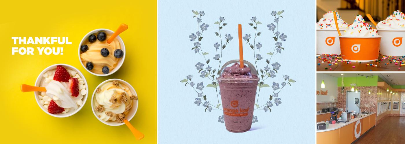 Orange Leaf Frozen Yogurt