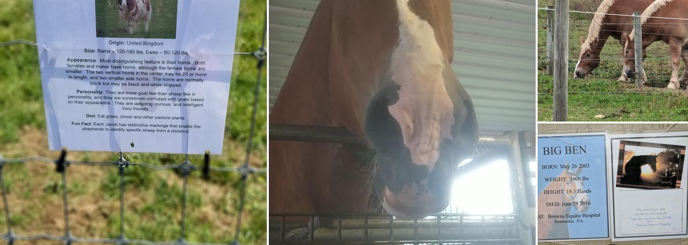 Hershberger's Farm and Bakery Menu