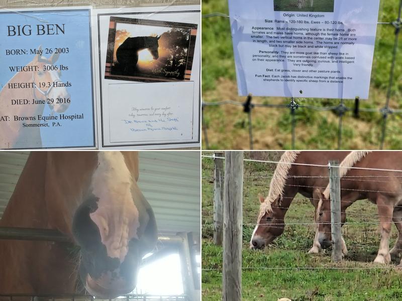 Hershberger's Farm and Bakery Menu