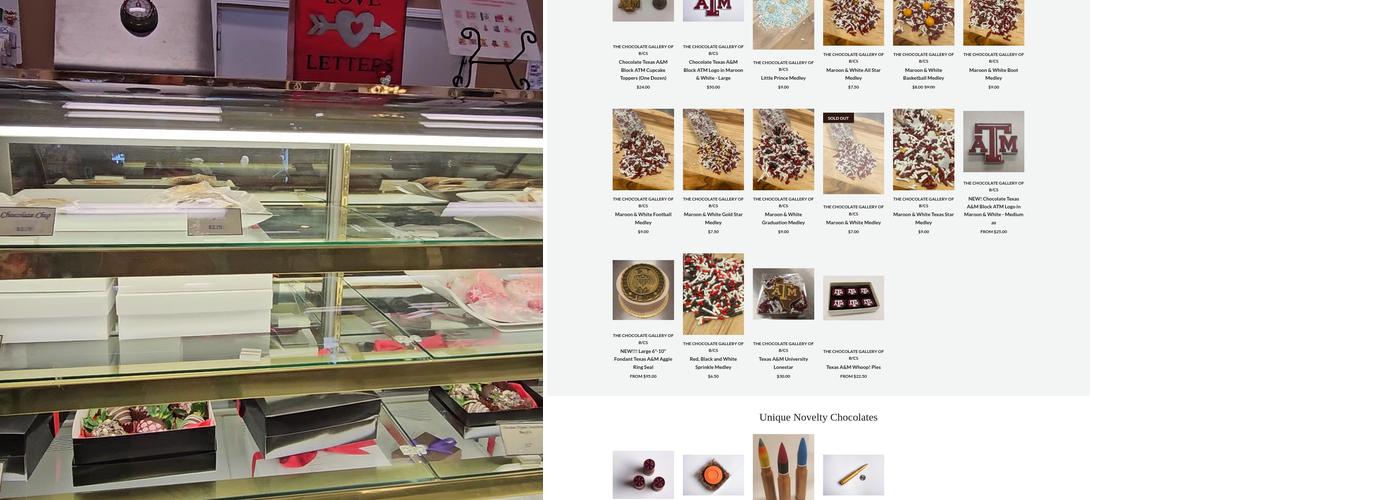 The Chocolate Gallery of B/CS Menu