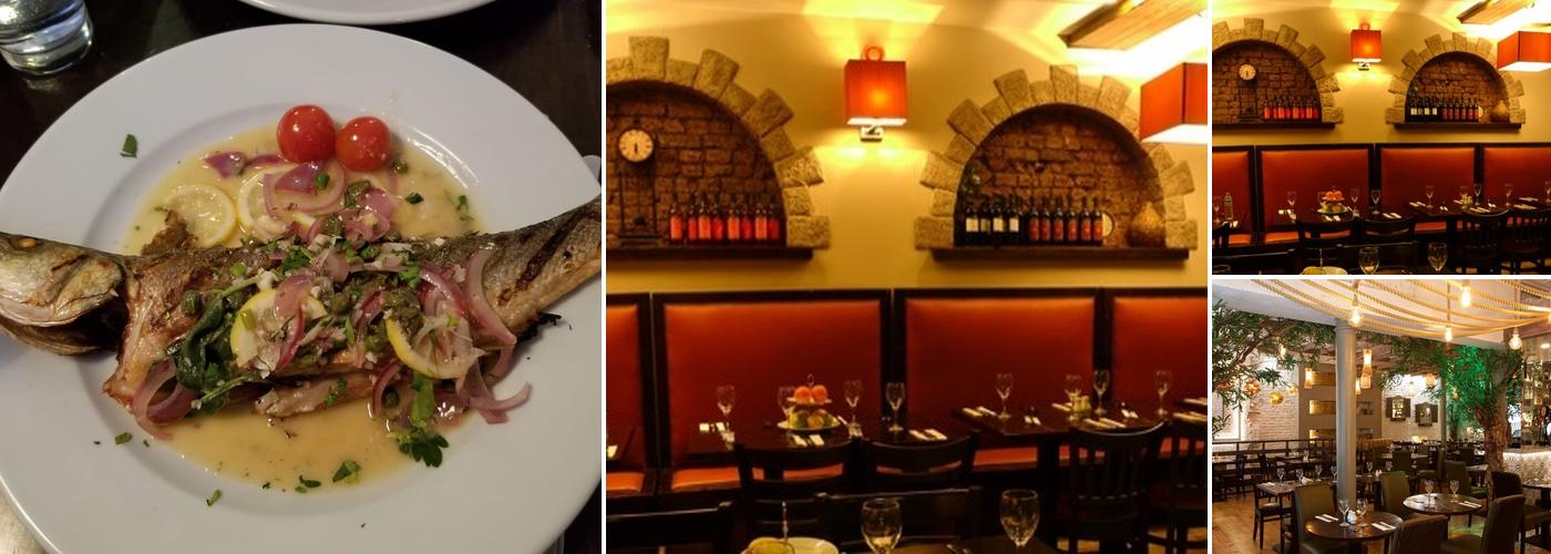 L'ulivo Charing Cross