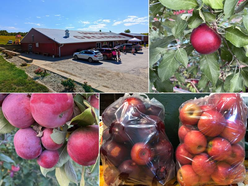 Union Orchard 2405 US-75, Union