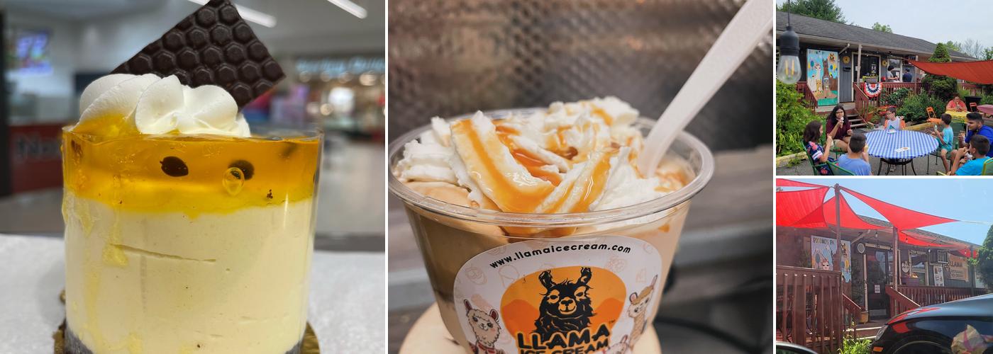 Llama Ice Cream