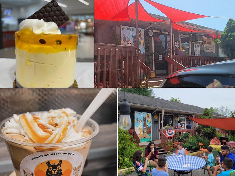 Llama Ice Cream 266 River Rd, East Stroudsburg