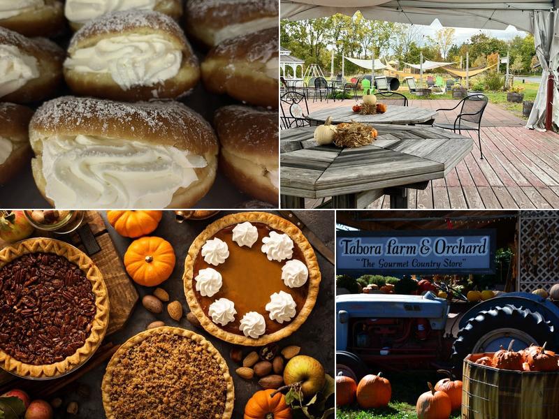 Tabora Farm & Orchard