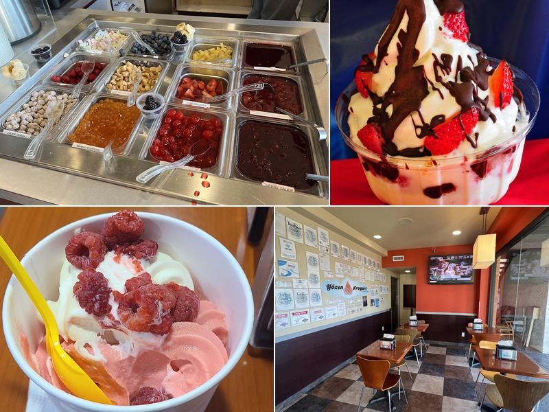 Yözen Frogurt 2900 Townsgate Rd, Westlake Village