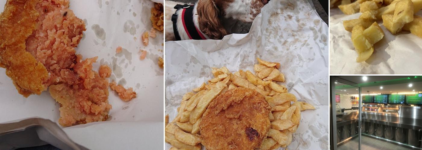 Papa's Fish - Chips - Pizza - Treats