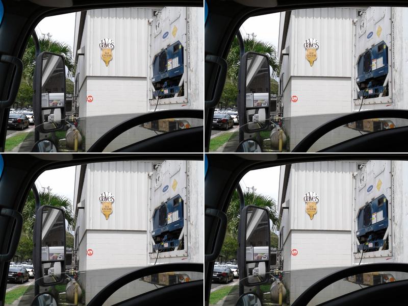 Dave's Hawaiian Ice Cream