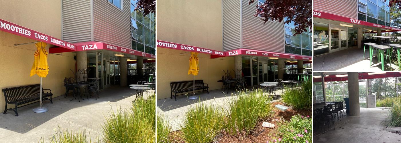 Taza Smoothies and Wraps