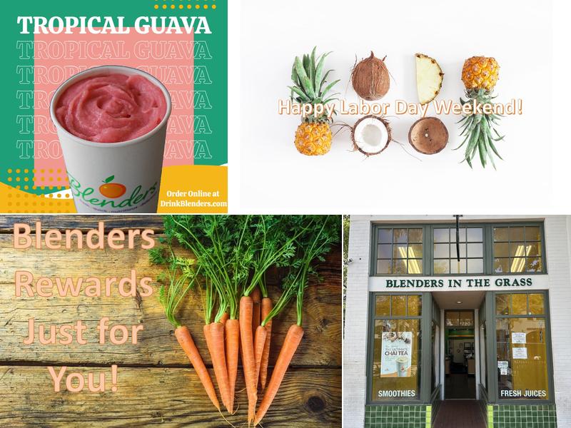 Blenders In The Grass- Downtown Santa Barbara