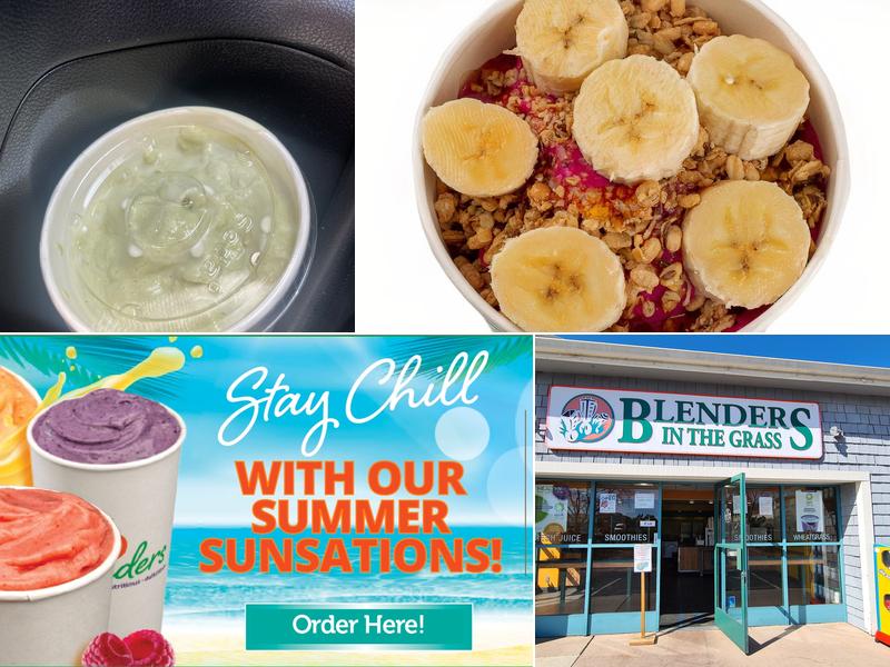 Blenders In The Grass - Mesa