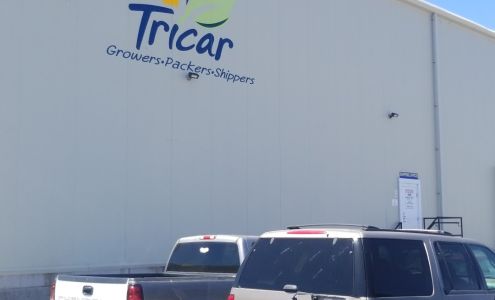 Tricar Sales Warehouse