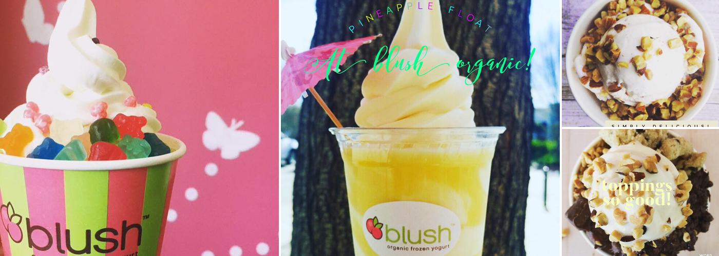 Blush Organic Frozen Yogurt