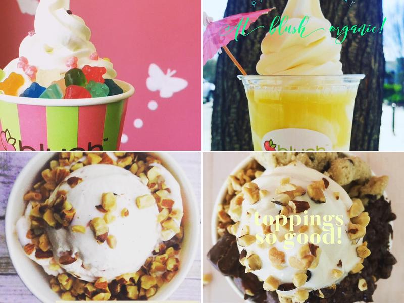 Blush Organic Frozen Yogurt