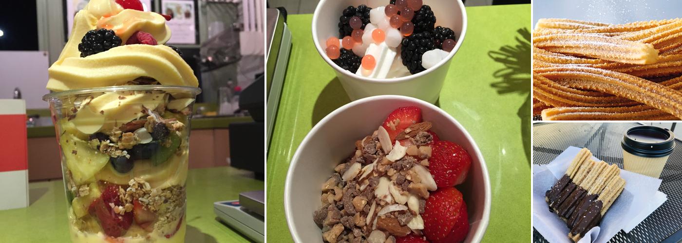 Froyola Premium Frozen Yogurt