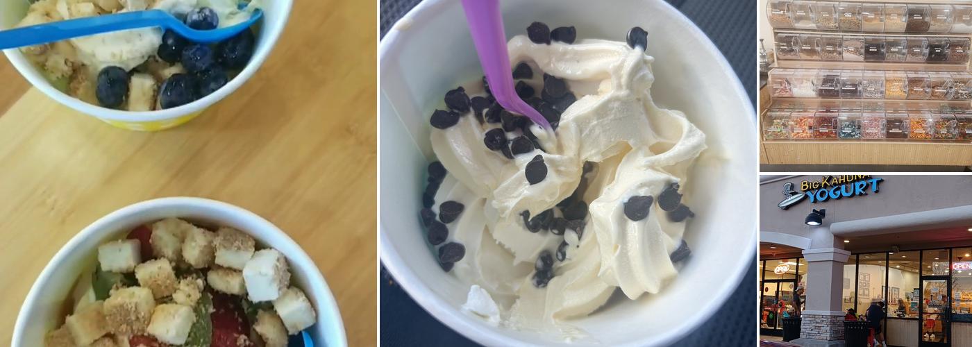 Big Kahuna Frozen Yogurt