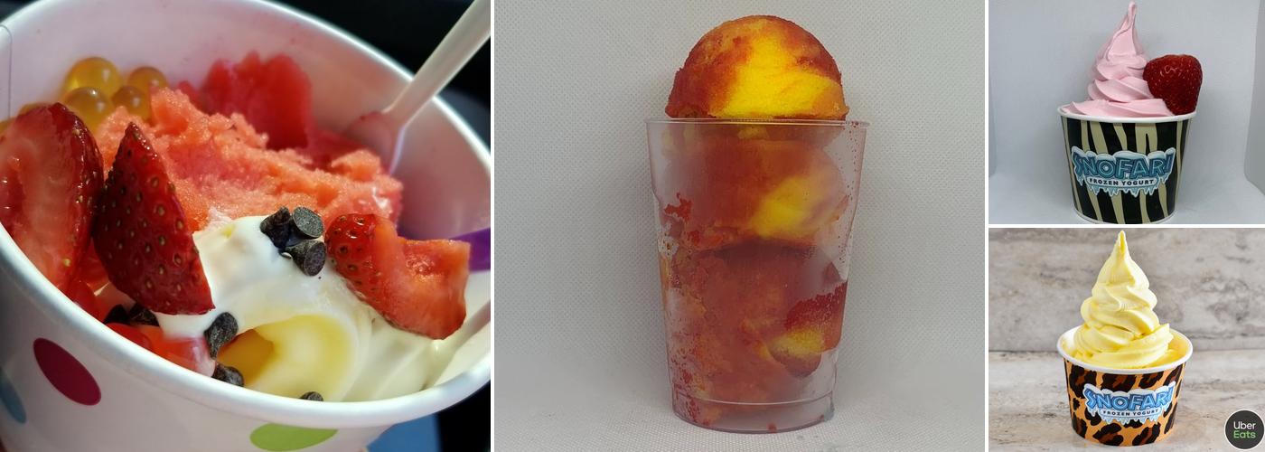 Snofari Frozen Yogurt