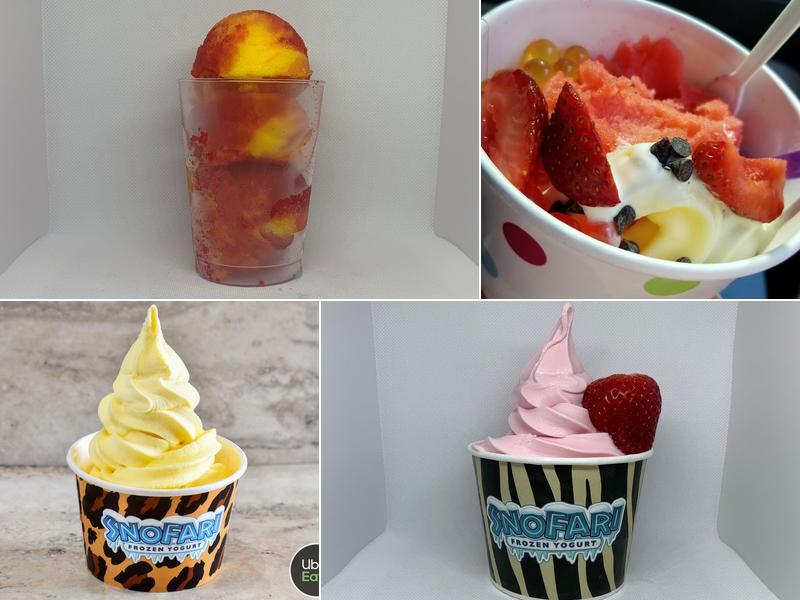 Snofari Frozen Yogurt