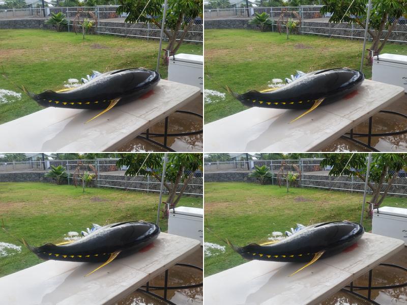 Maili Pasteles 87-680 Farrington Hwy, Waianae