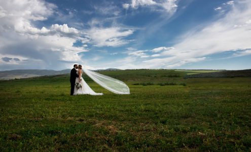 Bar 7 Bed Bath and Barn Meeker