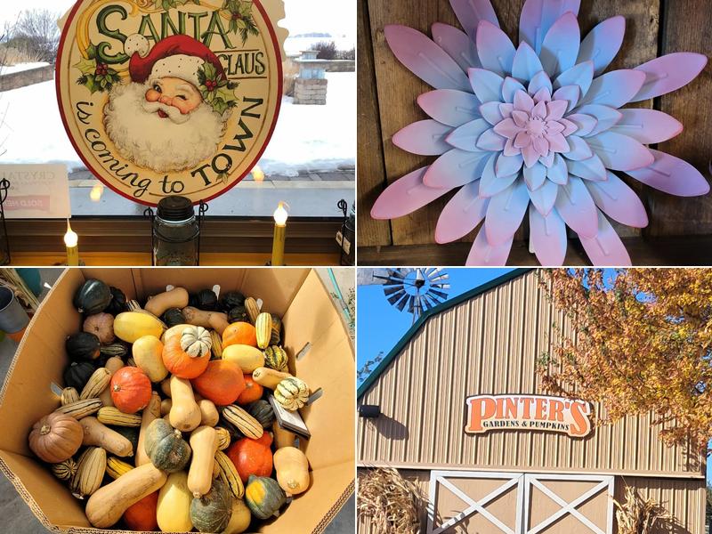 Pinter's Gardens & Pumpkins