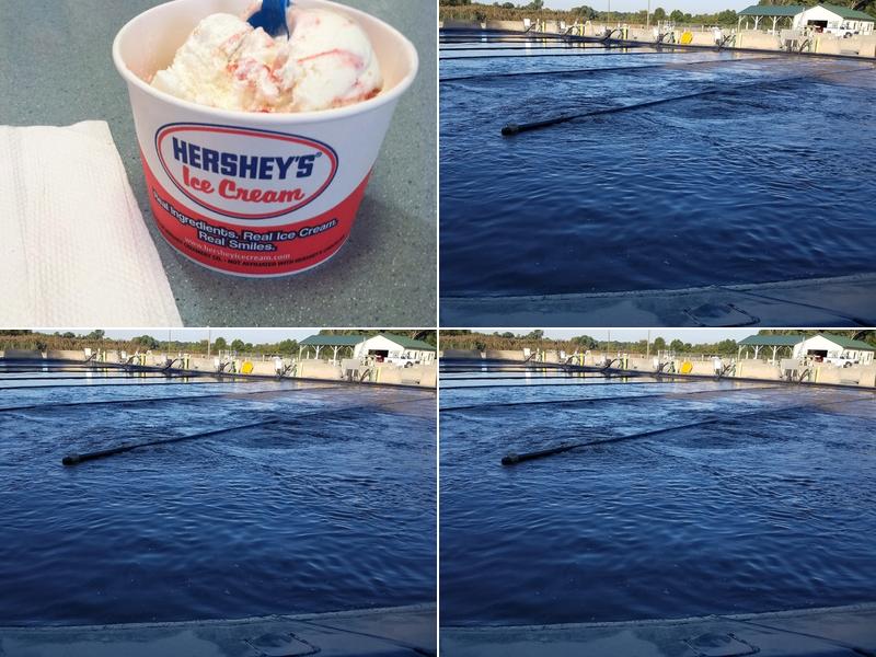 Hershey's Ice Cream 9640 Legion Rd, Denton