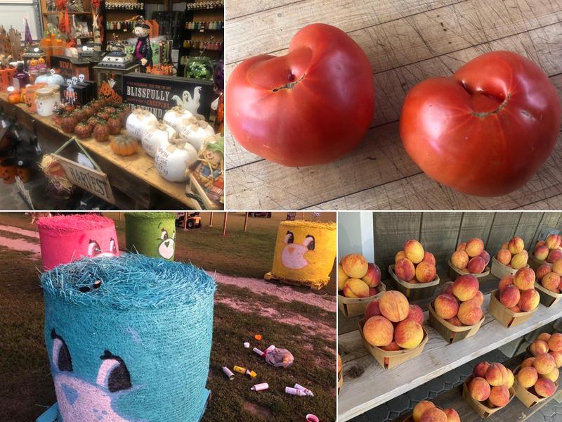 Zimmerman's Country Market