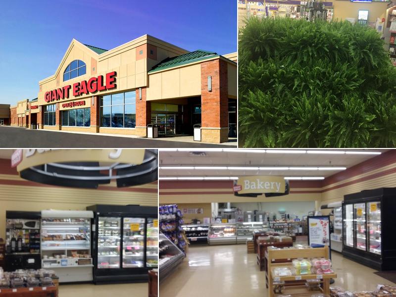 Giant Eagle Supermarket 999 N Eighty Eight Rd, Rices Landing