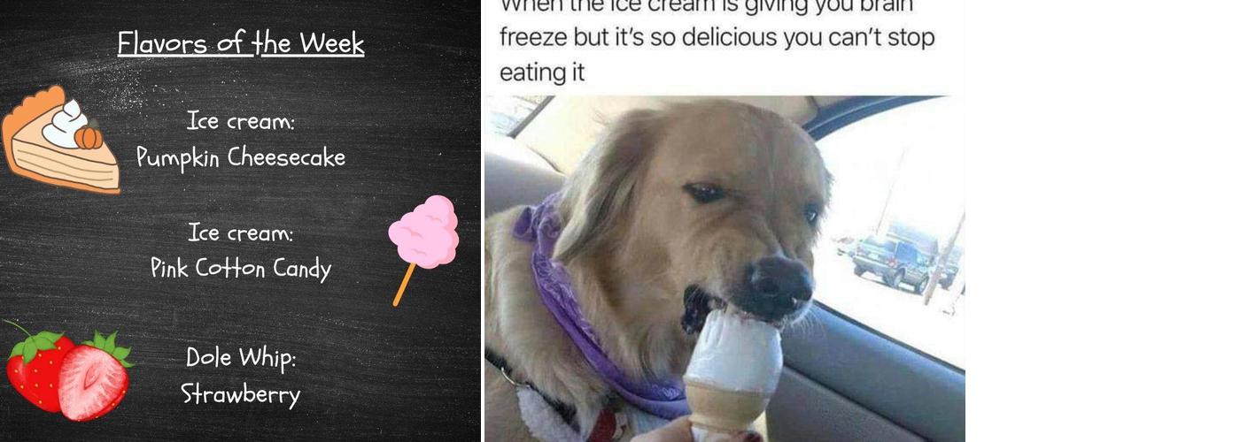 Christy Park Cones Menu