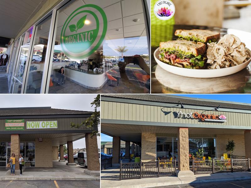 Ynot Organic 897 N Oak Park Blvd, Pismo Beach